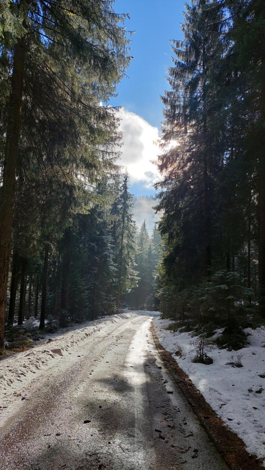 اوفاش Alpenchalet Almrose المظهر الخارجي الصورة